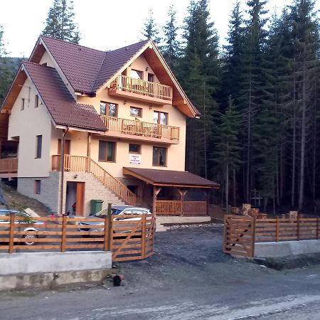 Vidra Parc Hotel Войняса Екстериор снимка