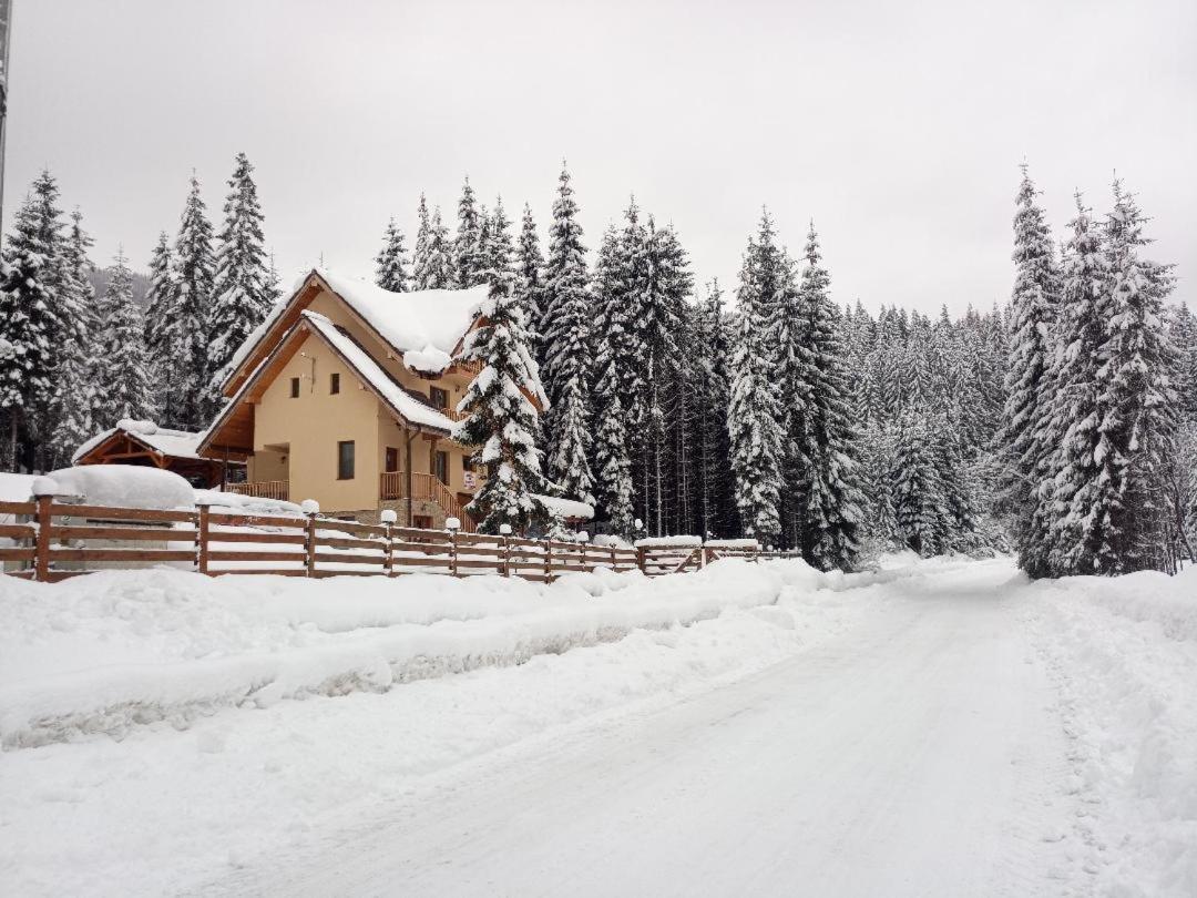 Vidra Parc Hotel Войняса Екстериор снимка