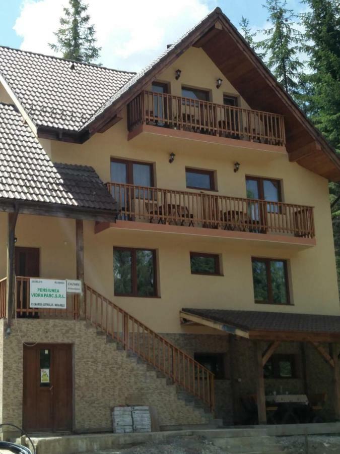 Vidra Parc Hotel Войняса Екстериор снимка