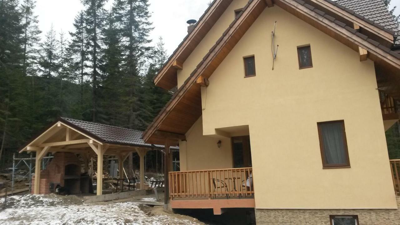 Vidra Parc Hotel Войняса Екстериор снимка