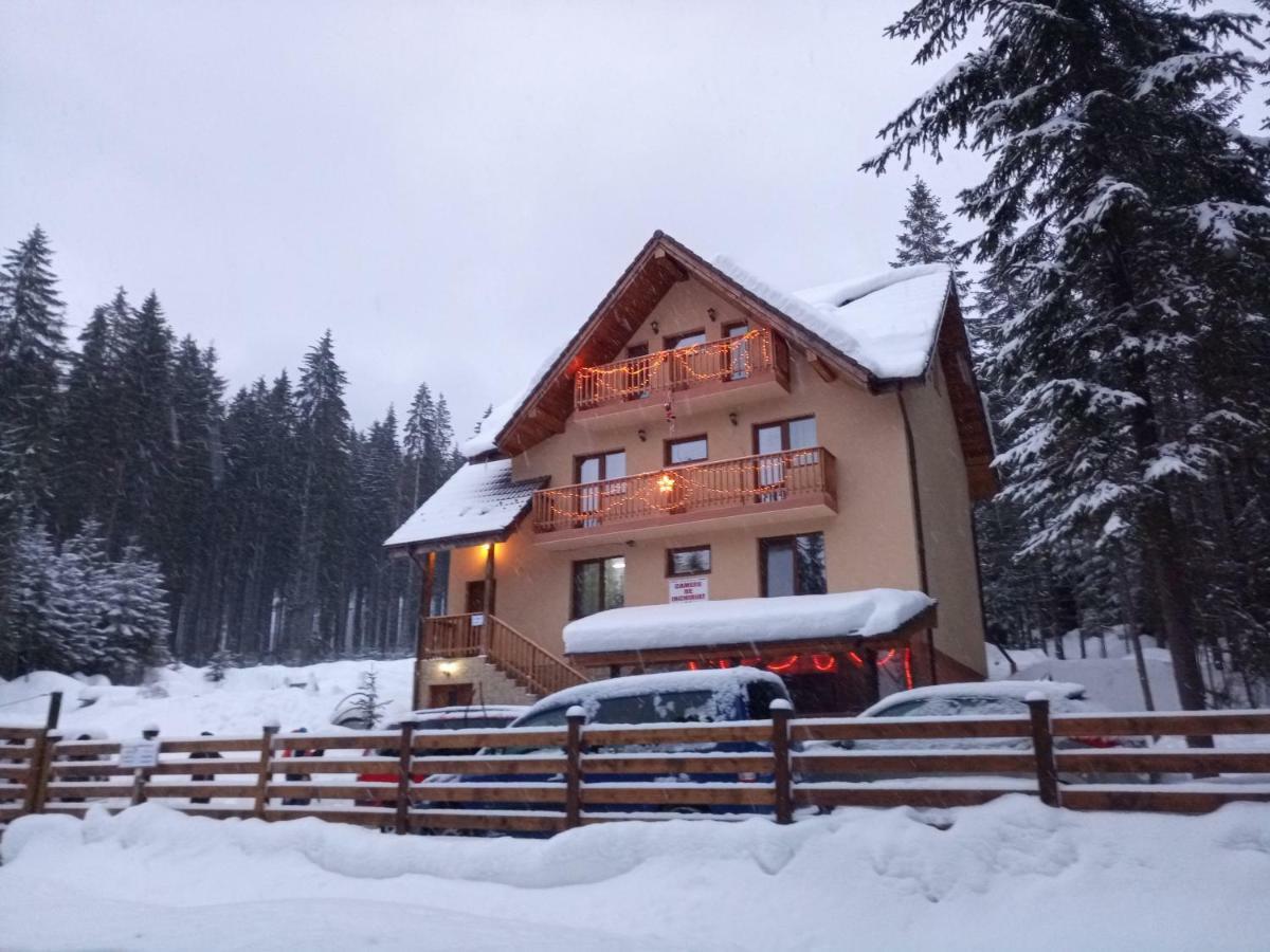 Vidra Parc Hotel Войняса Екстериор снимка