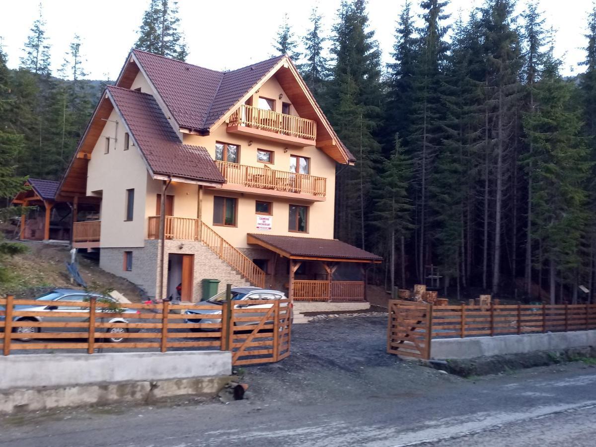 Vidra Parc Hotel Войняса Екстериор снимка