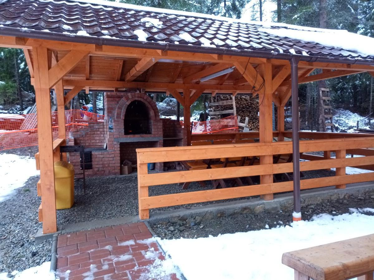 Vidra Parc Hotel Войняса Екстериор снимка